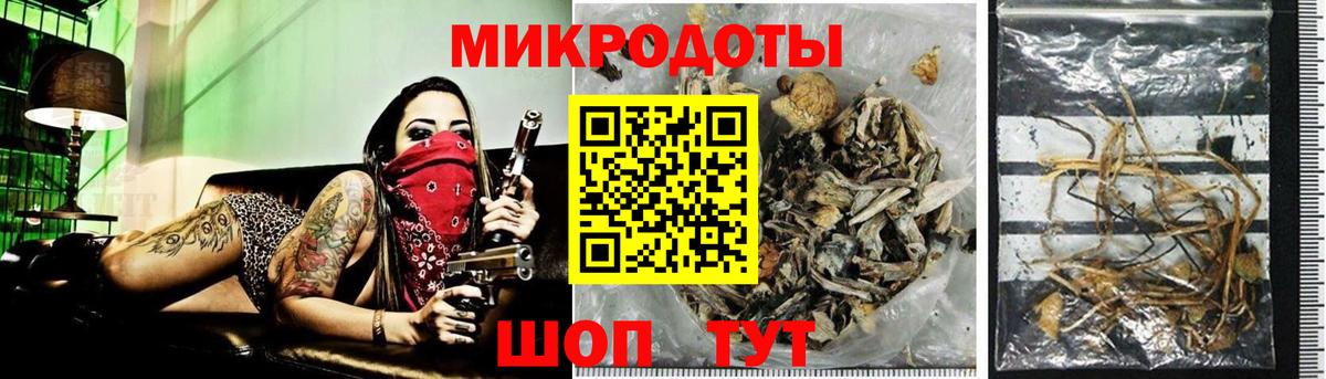 Североморск  Псилоцибиновые грибы мицелий  Псилоцибиновые грибы Psilocybe  Вход с VPN 